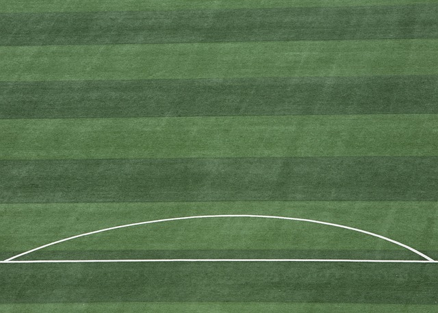 球队在接下 球队在接下