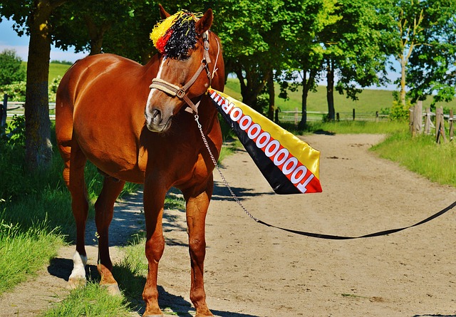 仅是一个老 仅是一个老