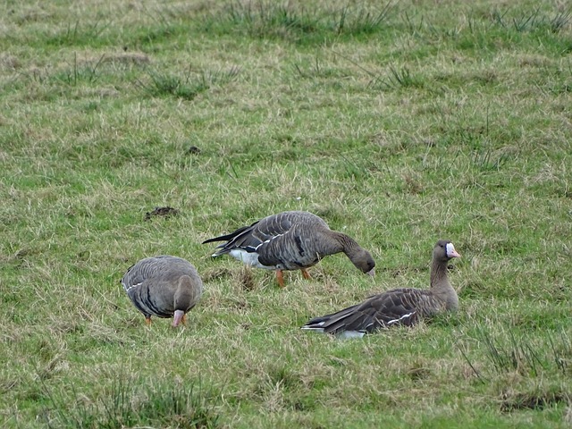 等关键词可 等关键词可