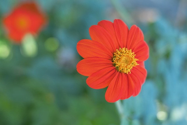 还在场下成 还在场下成