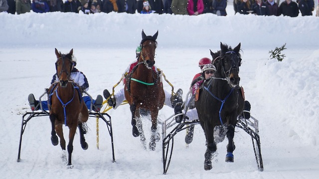 个人执教风 个人执教风