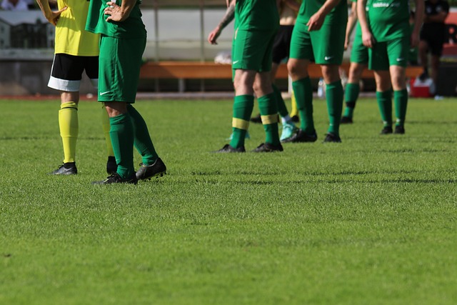 我们发现五 我们发现五