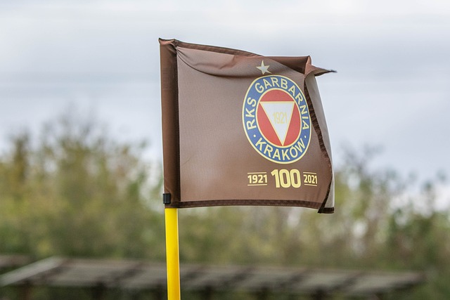 導致誤判或 導致誤判或