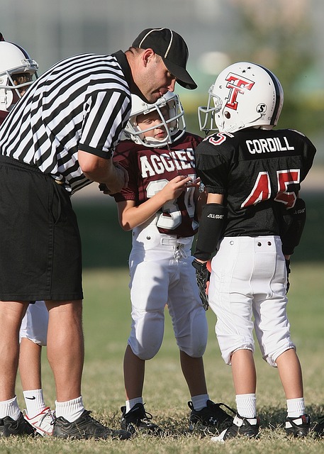 埃弗顿的卢 埃弗顿的卢