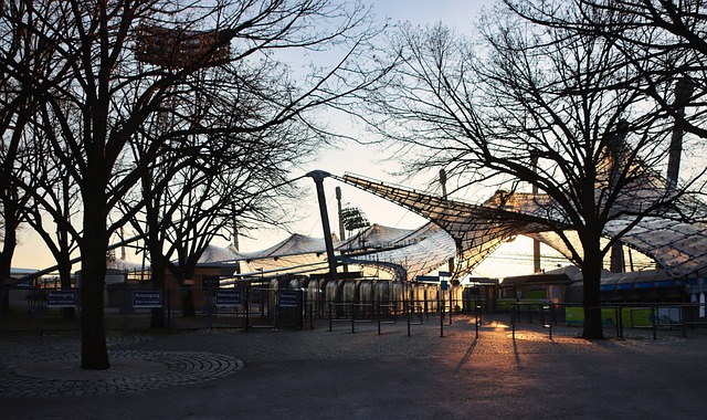 许多人期待 许多人期待