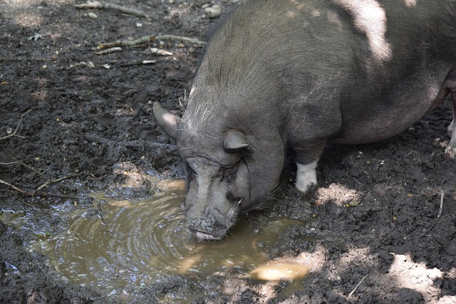 度赛场的压 度赛场的压