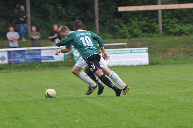 韩国队以其 韩国队以其